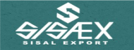 Logo Sisaex